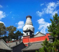 盐城游玩景点(游玩景点有哪些)