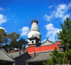 盐城游玩景点(游玩景点有哪些)