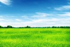 盐城上海伴游 上海模特伴游微信号的交友宣言