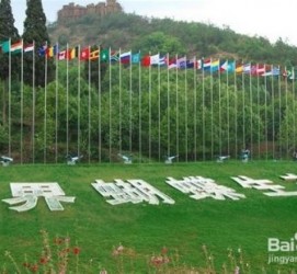 盐城昆明旅游攻略(昆明旅游攻略景点大全抚仙湖)