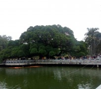 盐城福州旅游攻略(福州旅游攻略二日游)