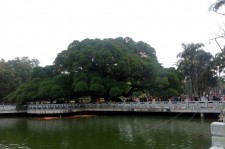 盐城福州旅游攻略(福州旅游攻略二日游)