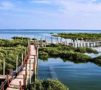 盐城旅游哪里好玩(云南旅游哪里好玩)