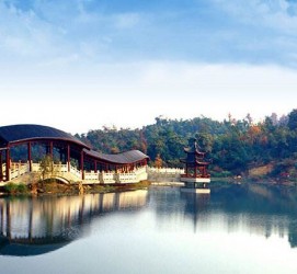 盐城景点介绍(景点介绍模板)
