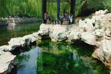 盐城济南旅游攻略(青岛威海济南旅游攻略)
