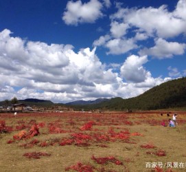 盐城旅游去处(暑期最好的旅游去处)