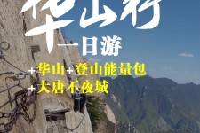 盐城一日游(一日游需要准备些什么东西?)