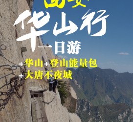 盐城一日游(一日游需要准备些什么东西?)