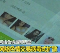 盐城上海伴游 伴游女郎白天陪玩晚上陪睡 网络跑火日薪过万(图)