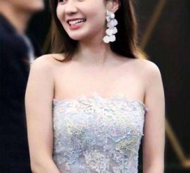 盐城cnbanycom伴游中国明星的简单介绍