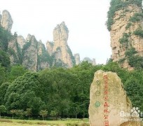 盐城自驾旅游攻略(自驾旅游攻略app排行榜)