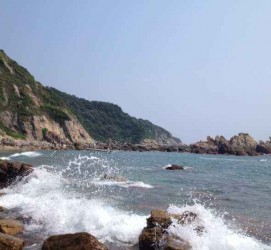 盐城深圳旅游攻略(广州深圳旅游攻略)