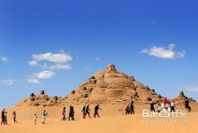 盐城旅游图片大全(跟团旅游图片大全)