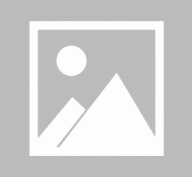 盐城商务伴游招聘 不法分子冒充宾馆网上高薪招吧女要求思想前卫