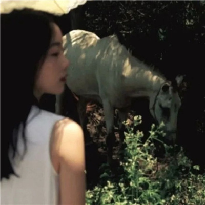 盐城私家伴游让你拥有一次完美的旅游体验